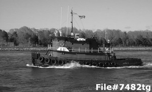 Twin Screw Model Bow Tug For Sale