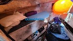 Solid Fiberglass Long Liner photo