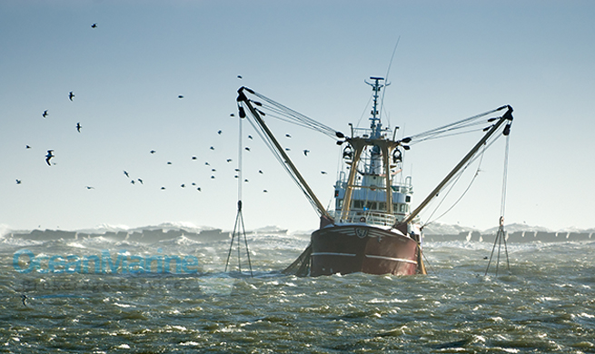 Find Used Trawlers For Sale With Brokerage Services